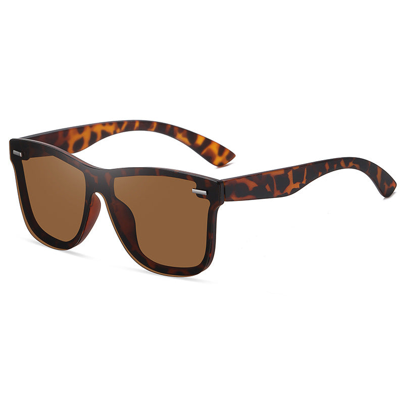 New Polarized Night Glasses