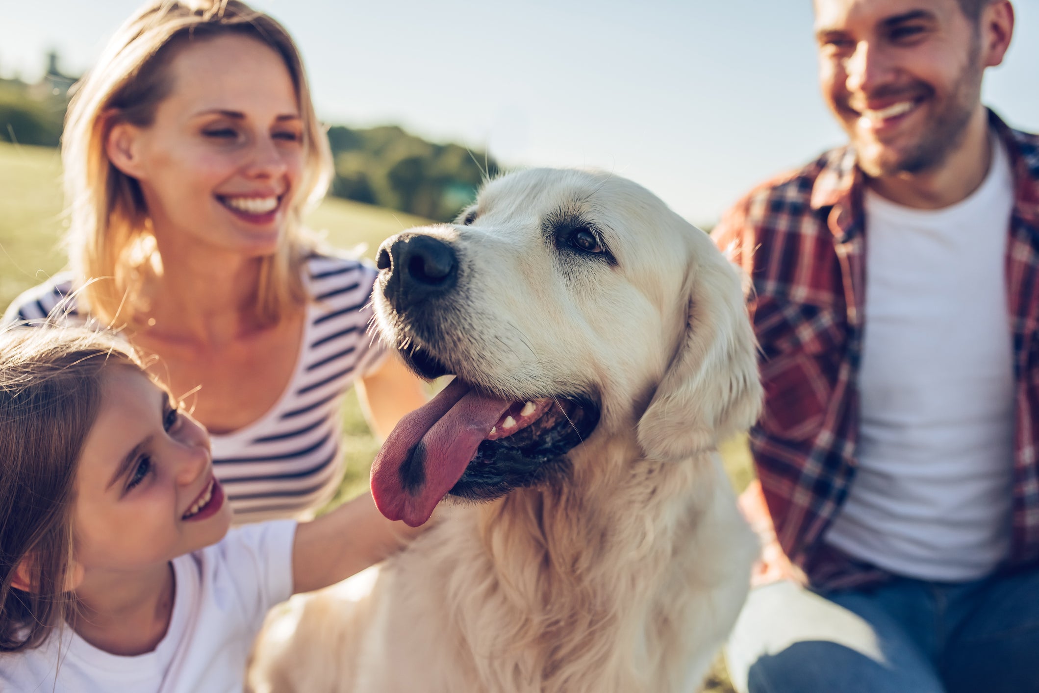 Caucasian family of 3 woman on left man on right and daughter next to plus one blond labrador retriever next to little girl 